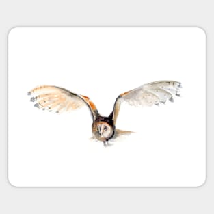 flying owl watercolor art Sticker